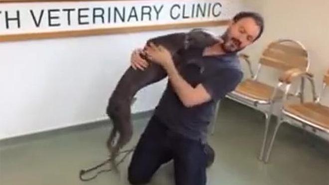 El emotivo reencuentro de un perro robado con su dueño