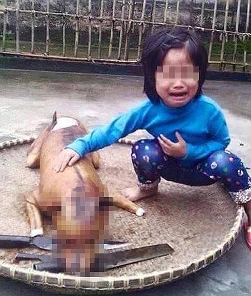 Una niña reconoce al perro que perdió cocinado en un restaurante de Vietnam