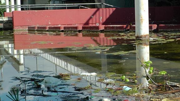 La basura se acumula en el río bajo el puente de Campanar