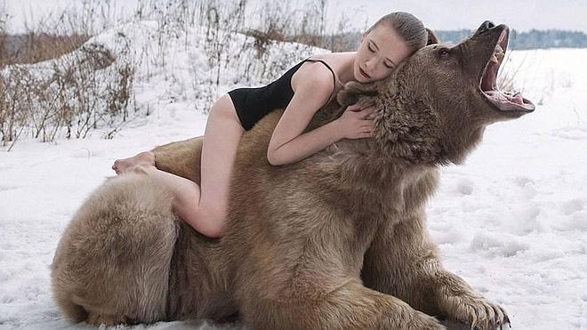 Stephen, el oso que salvó la vida y se conviertió en estrella