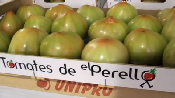 900 euros por los primeros tomates de El Perelló