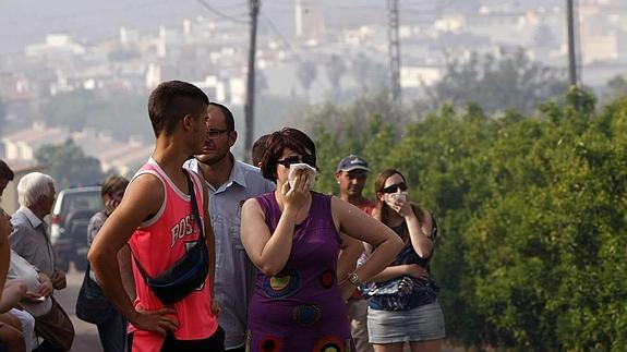 El incendio descontrolado en La Marina obliga a desalojar 100 casas y amenaza Pego