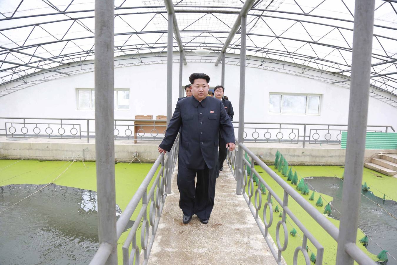 Kim Jong-un abronca a los operarios de un criadero de tortugas