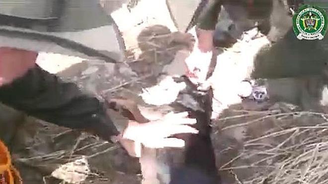 Espectacular rescate de un perro arrastrado por una riada