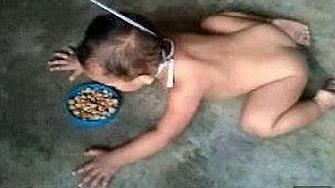 El escándalo del niño que gatea con una cuerda al cuello y come del plato del perro