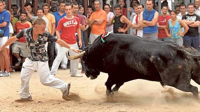El toro quiere ser apolítico