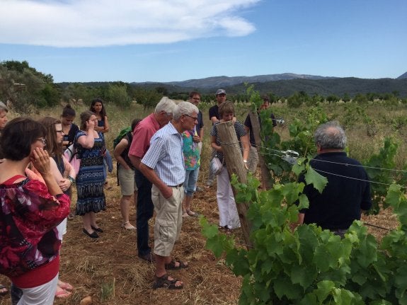 El enoturismo gana adeptos en la Comunitat