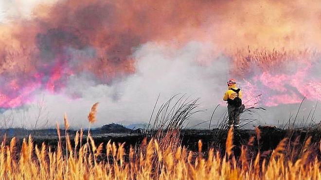 La empresa de la trama de Castellano tiene garantizado el contrato hasta 2016