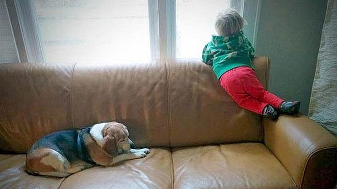 Un niño recibe respuesta a la carta que le escribió a su perro fallecido