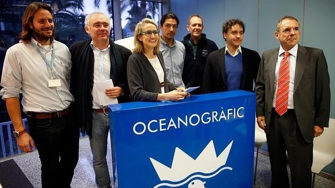 Tiburones martillo y cocodrilos sudafricanos, nuevas especies en l'Oceanogràfic