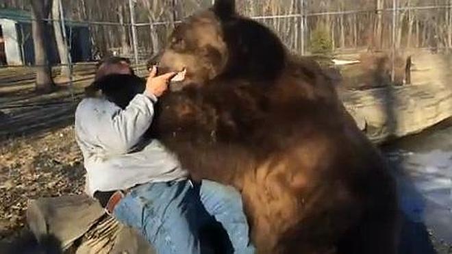 ¿Serías capaz de hacerte amigo de un oso?