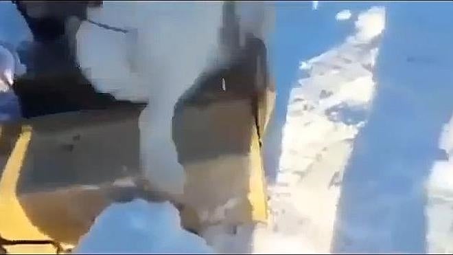 Un zorro escapa de unos cazadores haciéndose el muerto