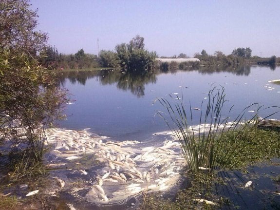 Los nitratos y plaguicidas ponen en jaque los acuíferos valencianos