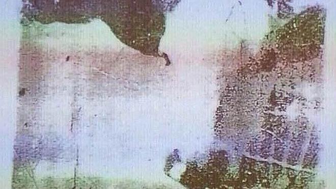 Nuevo reto viral: ¿Qué ves en esta imagen?