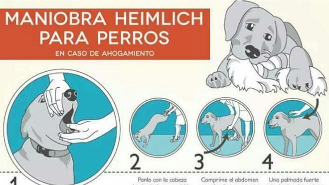 La Policía alerta de alfileres en salchichas halladas en parques para matar perros