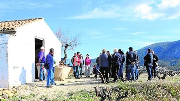 La promoción del BioMoscatell incide en el paisaje rural privilegiado de Benitatxell