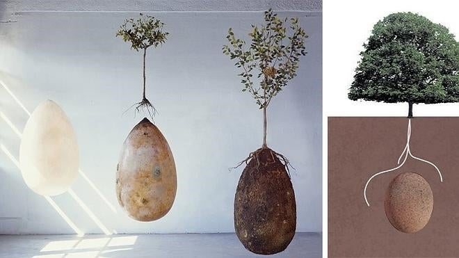 Conviértete en un árbol cuando mueras