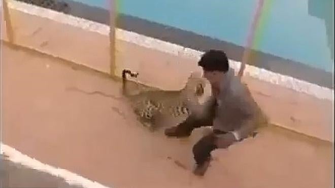Pánico en los colegios indios a causa de los leopardos