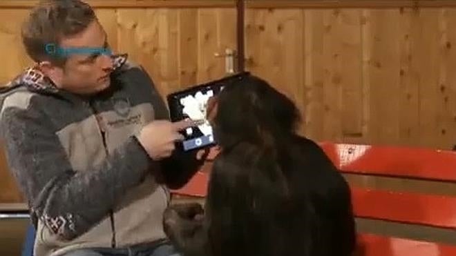 ¿Cómo reacciona un mono al ver trucos con un Ipad?