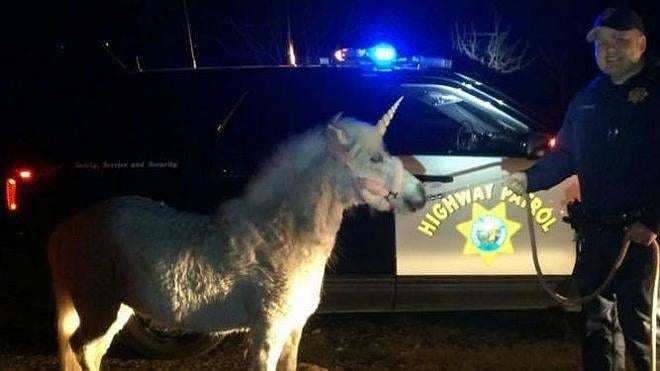 Capturan un 'unicornio' en California