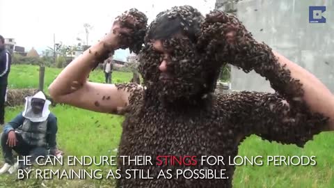 Cubre su cuerpo con más de 30.000 abejas