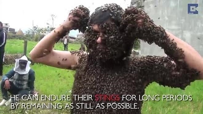 Cubre su cuerpo con más de 30.000 abejas