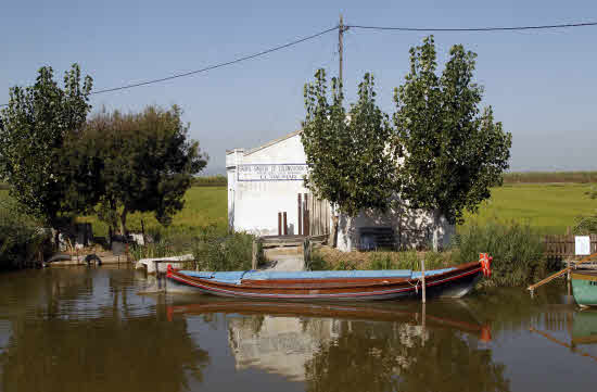 El plan perfecto para el fin de semana: un paseo por la Albufera y una ruta-bici por la huerta