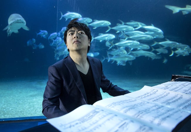 Lang Lang 'hace bailar' a los tiburones del Oceanogràfic