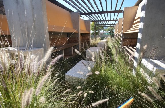 El Instituto Valenciano de la Paella, en ruinas una década después