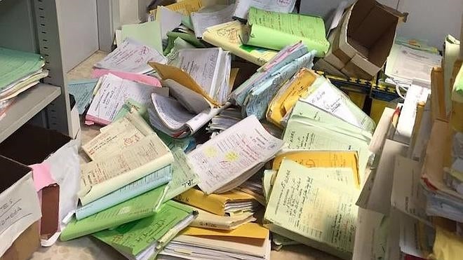 Ratas en los juzgados de Alzira