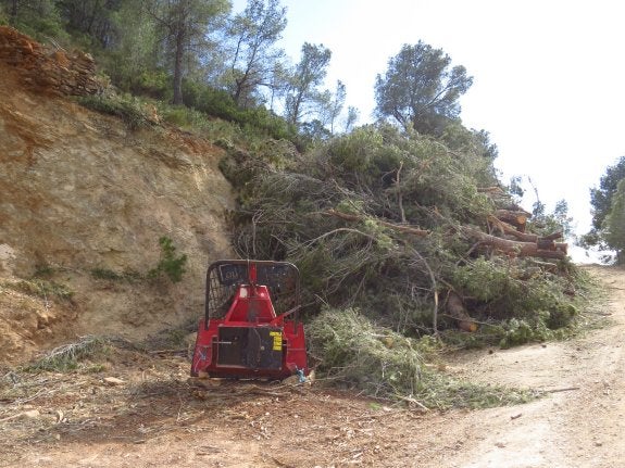 Medio Ambiente paraliza la tala de árboles de la Sierra Calderona al no respetar la normativa