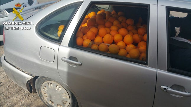 La Guardia Civil recupera más de 22 toneladas de naranjas robadas en la provincia de Valencia