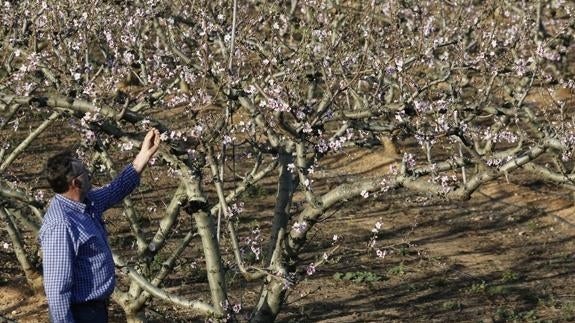 Llega una primavera cálida y seca tras el segundo invierno más caluroso en 55 años