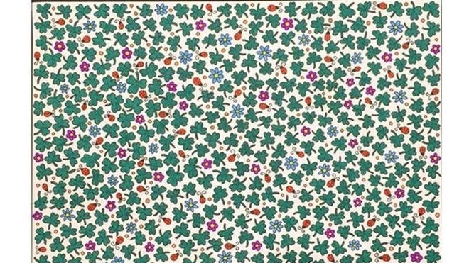 ¿Eres capaz de encontrar el trébol de cuatro hojas?