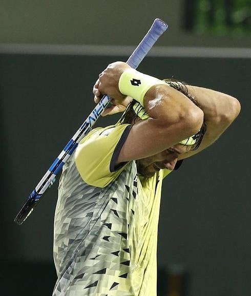 David Ferrer, eliminado en el Masters de Miami