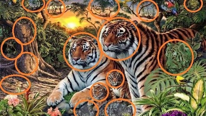 Solución al reto viral: ¿Cuántos tigres ves en la imagen?