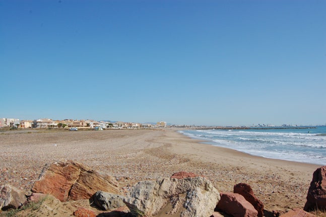 El Puig habilita la primera playa para perros