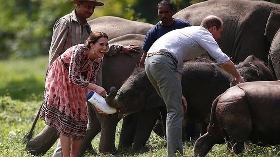 Los duques de Cambridge disfrutan de un safari en la India