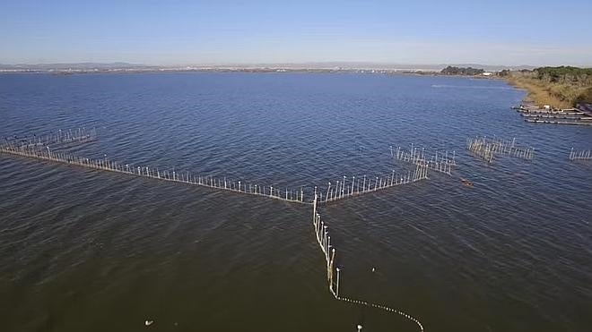 La Albufera estrena una nueva web que invita a visitarla y protegerla