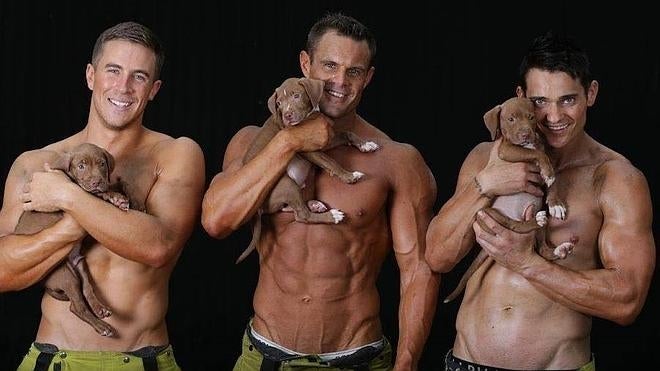 El calendario más tierno de los bomberos australianos