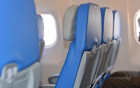 ¿Puede viajar tu mascota en la zona de pasajeros de un avión?