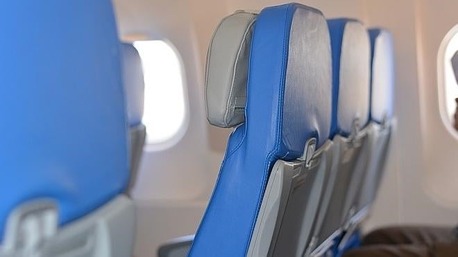 ¿Puede viajar tu mascota en la zona de pasajeros de un avión?