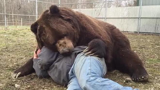 La preciosa amistad entre un oso y su cuidador