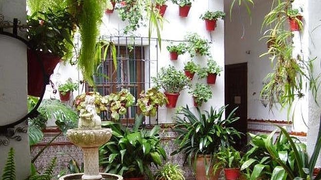 Un paseo por los patios cordobeses