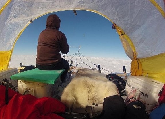 Ciencia viento en popa