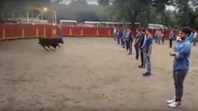 ¿Y si el toro no se sintiera amenazado?