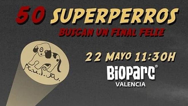 8º desfile solidario de perros abandonados en Bioparc