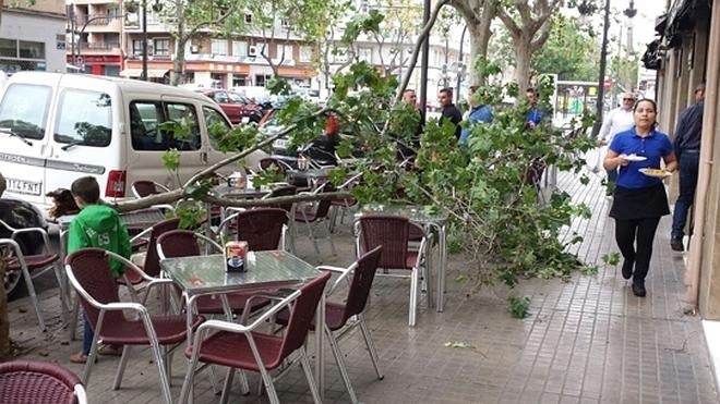 Una rama cae sobre una terraza en Valencia