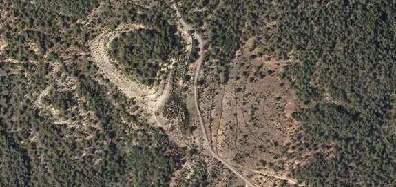 El bosque en la Comunitat crece 3.000 hectáreas al año por el abandono del campo