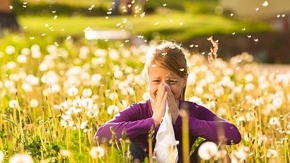 ¿Tienes alergia primaveral? Estos trucos te ayudarán a combatir sus síntomas